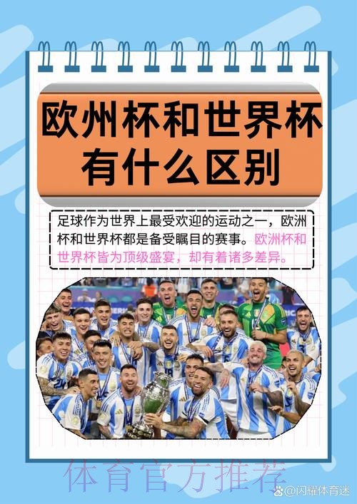 解析世界杯外围平台的优势与比较